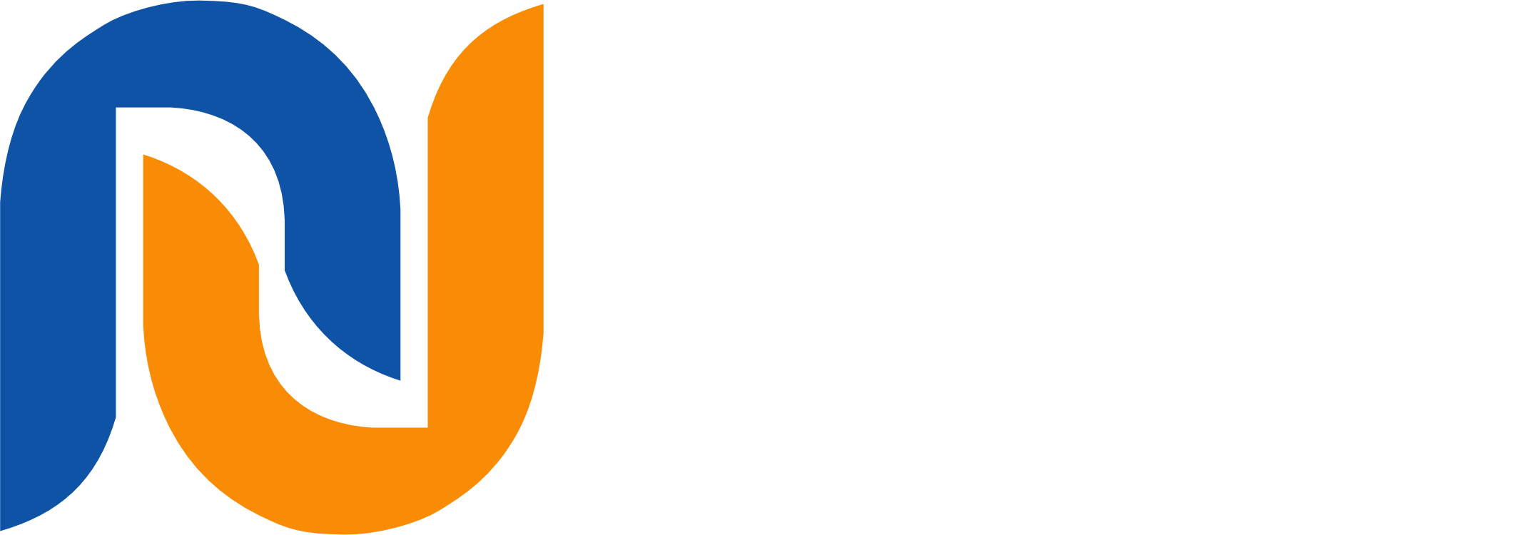 Neutron Networks